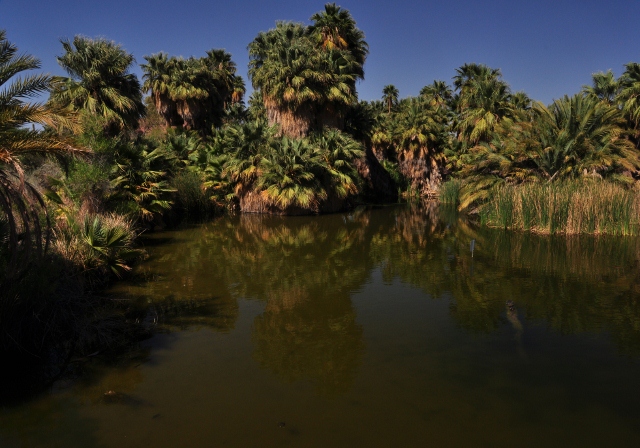 phoenix zoo